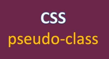 Lựa chọn theo pseudo class trong CSS