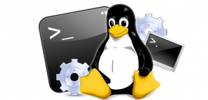 Tự động chạy Script sau khi khởi động xong Linux