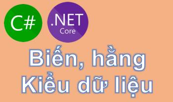 Biến hằng số kiểu dữ liệu và nhập xuất dữ liệu C# .NET Core