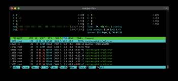 Các lệnh kiểm tra Ram trên Linux server