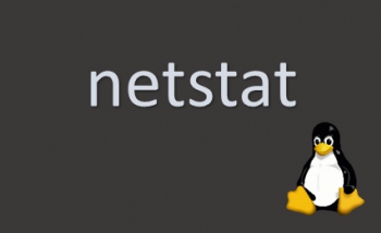 Sử dụng netstat quản lý tra cứu thông tin kết nối mạng trên Server