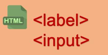 Thẻ <label> và thẻ <input> trong HTML