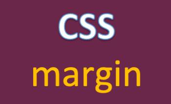 Thuộc tính margin trong CSS